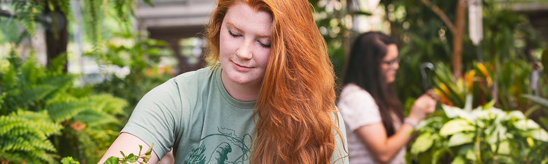 horticulture student working with plants in the greenhouse on Cato Campus at Central Piedmont